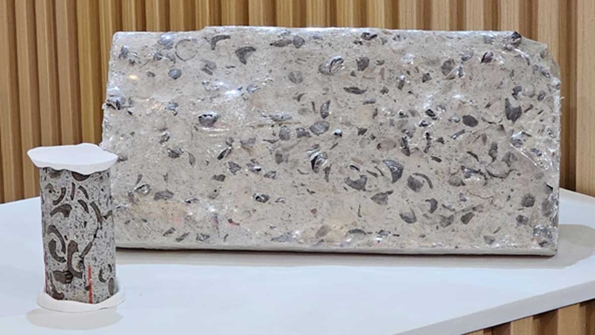 beton ringan dari cangkang kelapa sawit