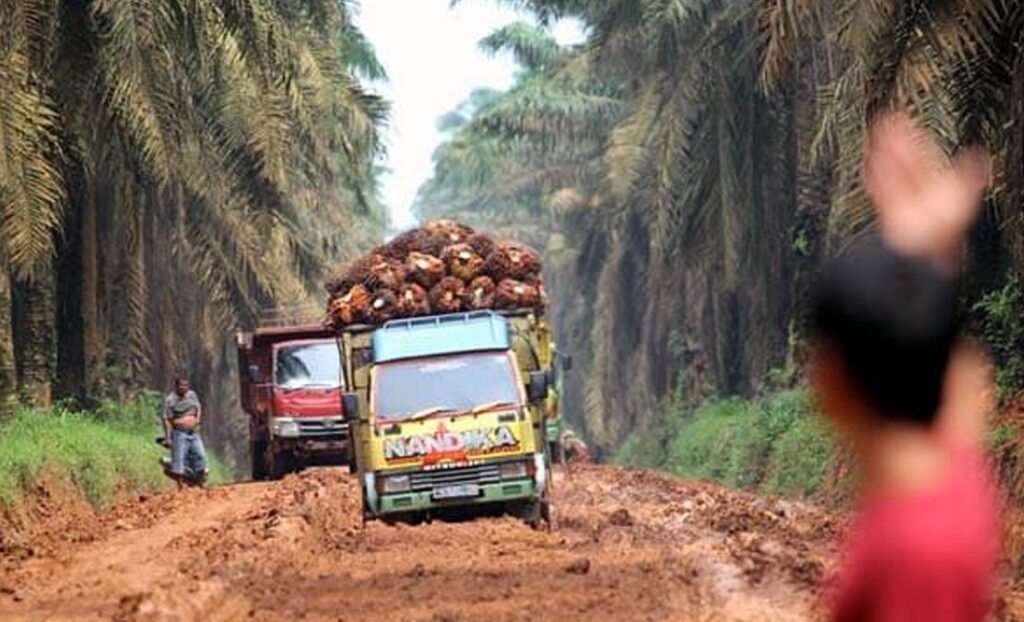 bantuan sarpras petani sawit