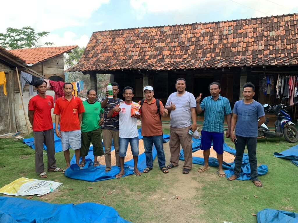 petani jagung grobogan pakai pupuk hayati BIOTOP.