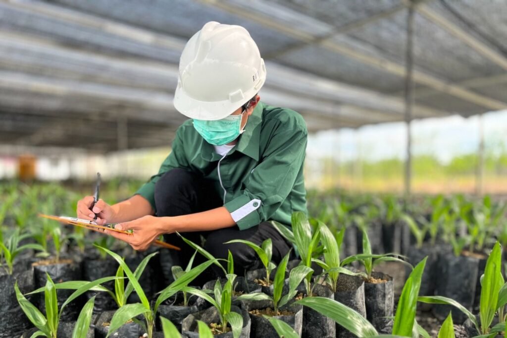 benih sawit astra agro