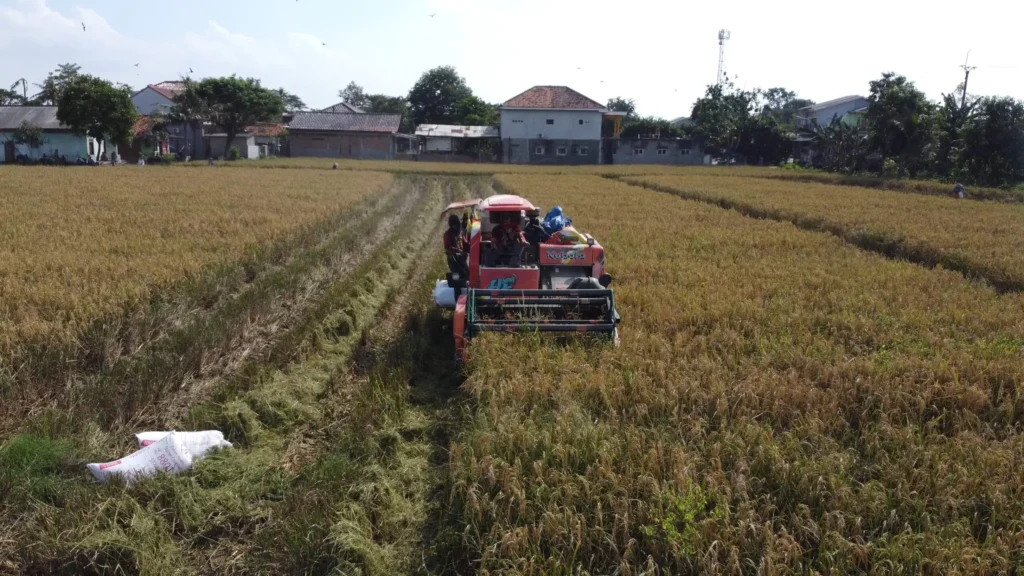 Pertanian organik bersama BIOTOP