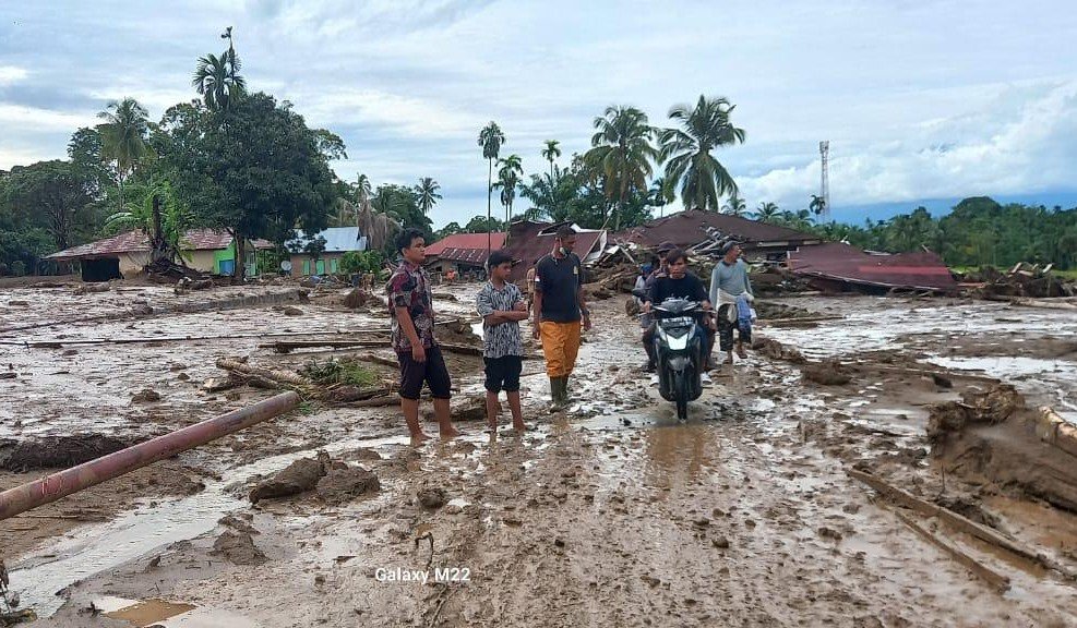 Pakar Sayangkan Dugaan Kebun Sawit Picu Banjir di Sumatera Banjir di Sumatera