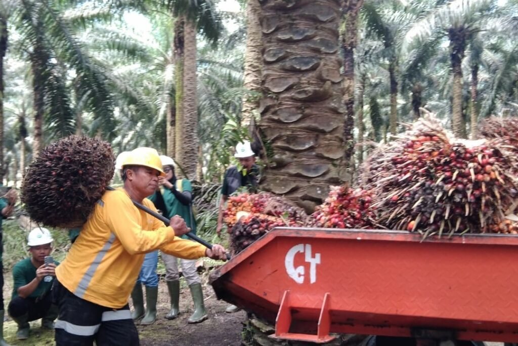 Pendapatan Naik 31,35%, Astra Agro Raup Laba Bersih Rp1,47 Triliun