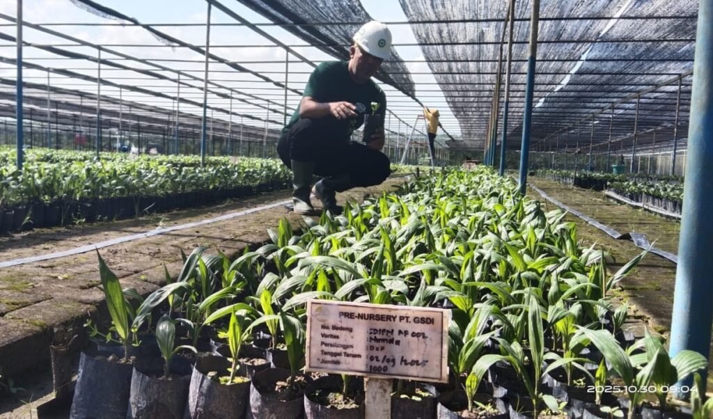 Astra Agro Siapkan Capex Rp1,4 Triliun, 63,8% untuk Replanting Benih sawit Astra Agro
