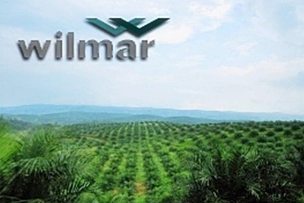 Diduga Manipulasi Ekspor CPO, Begini Penjelasan Wilmar Wilmar