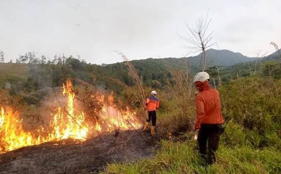 Perusahaan Sawit Malaysia dan Singapura Didesak Ikut Tangani Karhutla kabakaran hutan dan lahan (karhutla)